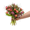 Bouquet of tulips in full bloom